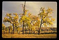 04301-00065-South Dakota State Parks.jpg