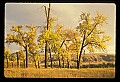 04301-00066-South Dakota State Parks.jpg
