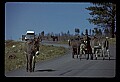 04301-00071-South Dakota State Parks.jpg