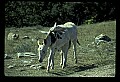 04301-00073-South Dakota State Parks.jpg