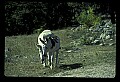 04301-00074-South Dakota State Parks.jpg