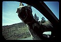 04301-00077-South Dakota State Parks.jpg