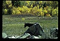 04301-00078-South Dakota State Parks.jpg