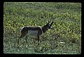 04301-00094-South Dakota State Parks.jpg