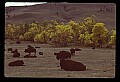 04301-00097-South Dakota State Parks.jpg
