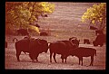 04301-00115-South Dakota State Parks.jpg