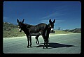 04301-00117-South Dakota State Parks.jpg