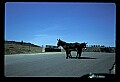 04301-00119-South Dakota State Parks.jpg
