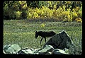 04301-00120-South Dakota State Parks.jpg