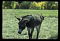 04301-00123-South Dakota State Parks.jpg